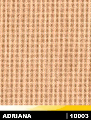 10003