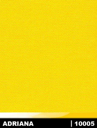 10005