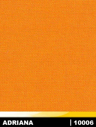 10006