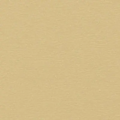 5209
