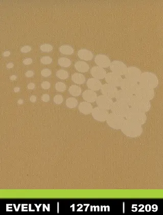 5209