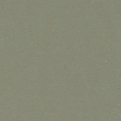 5029