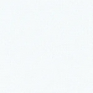 11001