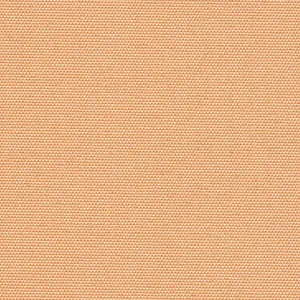 11005