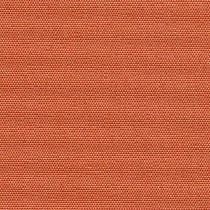 12020