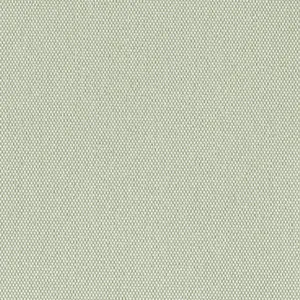 12024
