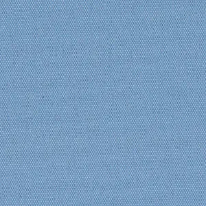 12025