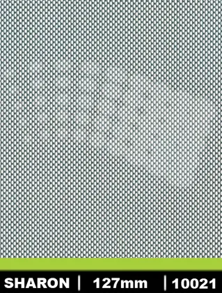 10021