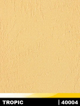 40004