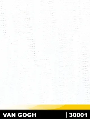 30001