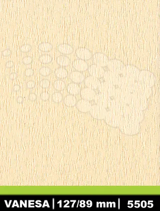 5505